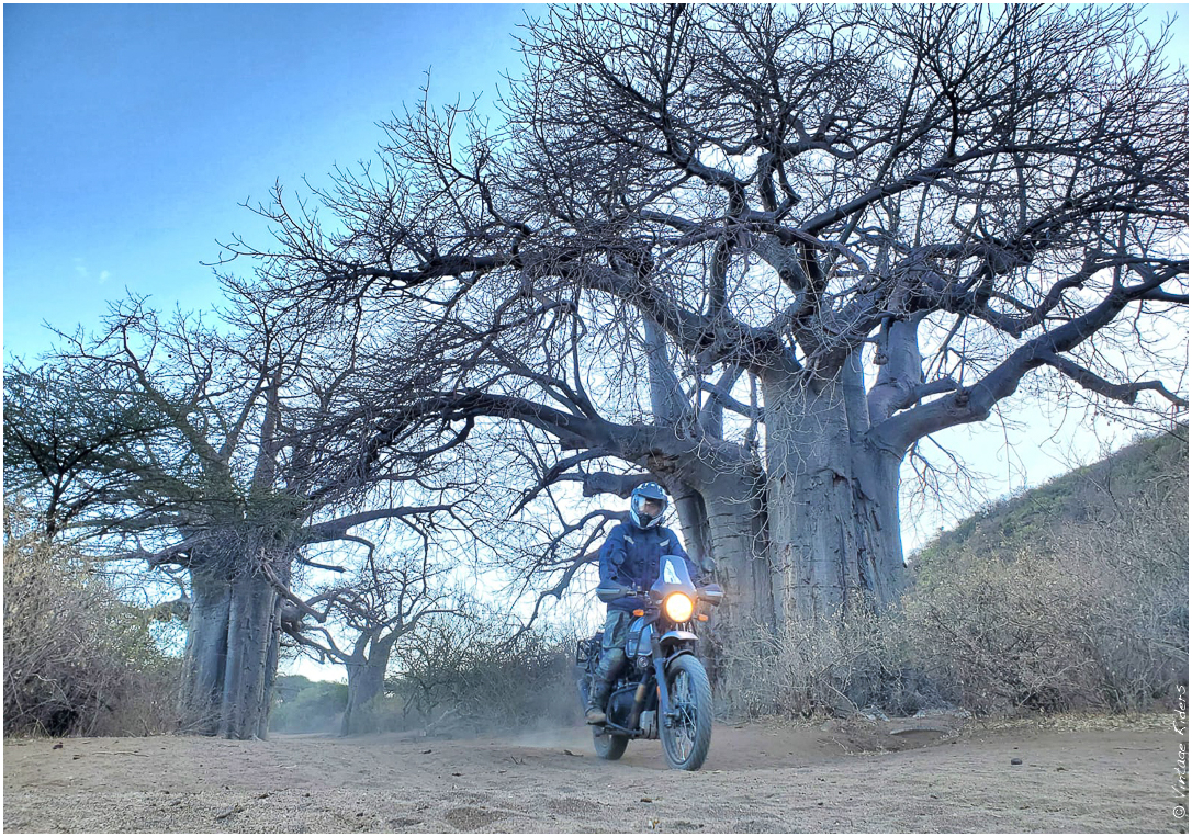 2022 07 Tanzanie 316 (5)